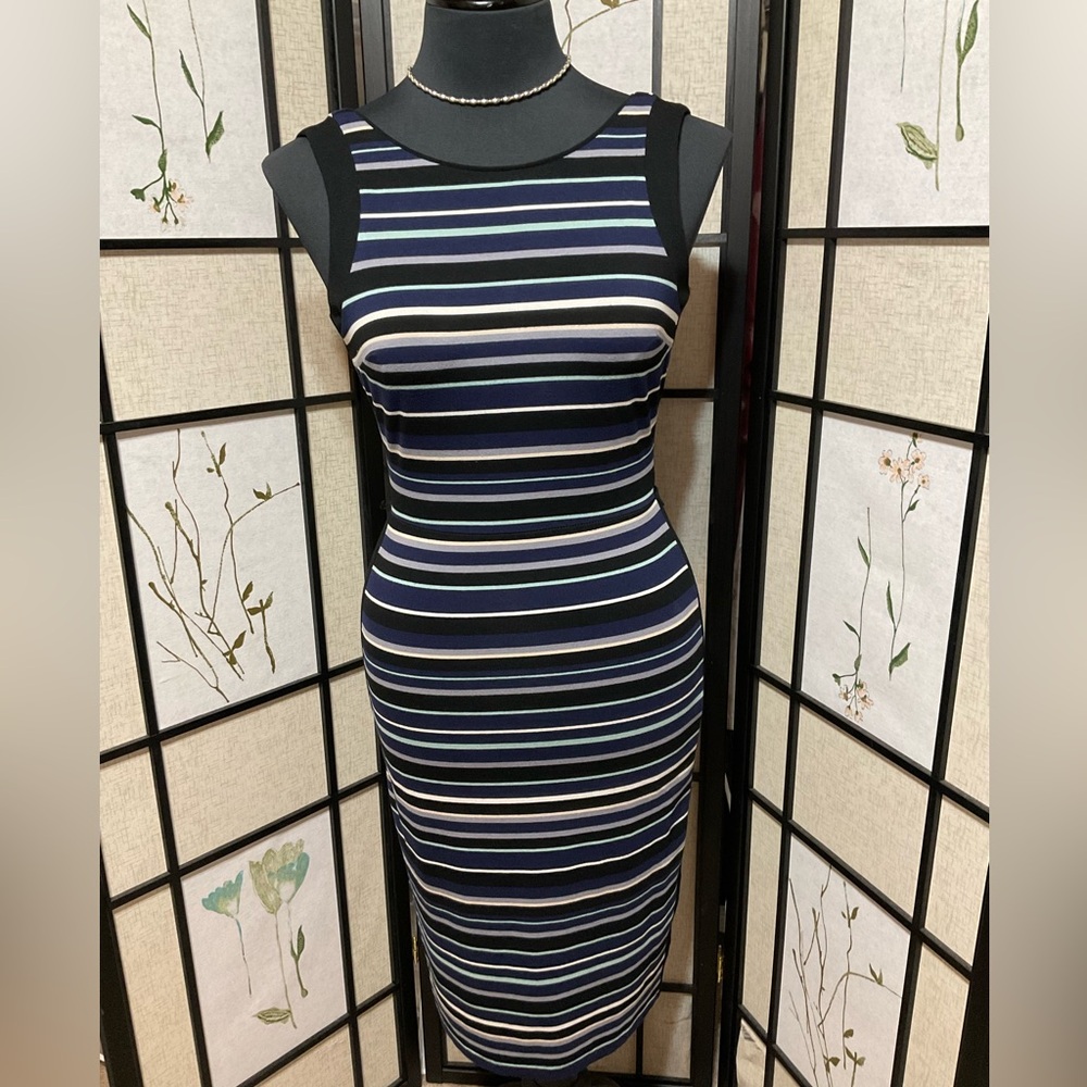 White House Black Market Sleeveless Dress